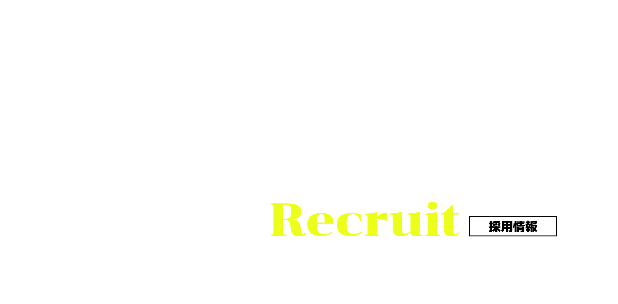 採用情報